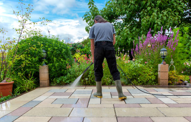 Best Brick and Stone Cleaning in Ashburn, GA